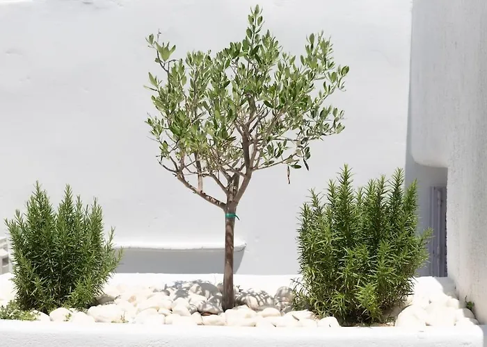 公寓 Swell S7 New 2 Bd Flat In